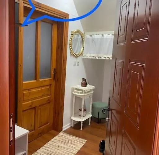 Traditional Bazaar Home2 * 科尔察